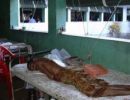 tuberkulos krankenhaus simon indienhilfe 02 250 250 c